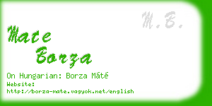 mate borza business card